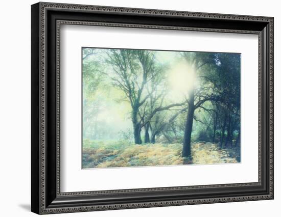 Magic Light-Viviane Fedieu Daniel-Framed Photographic Print