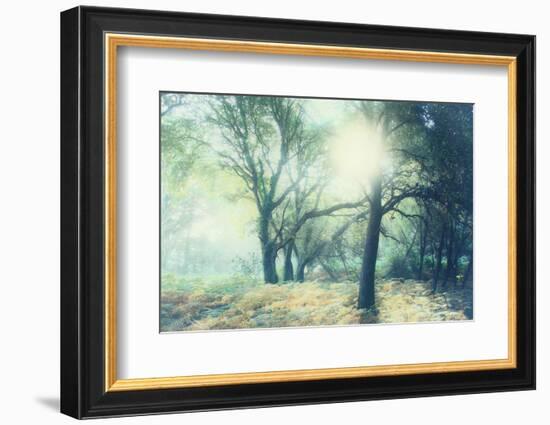 Magic Light-Viviane Fedieu Daniel-Framed Photographic Print