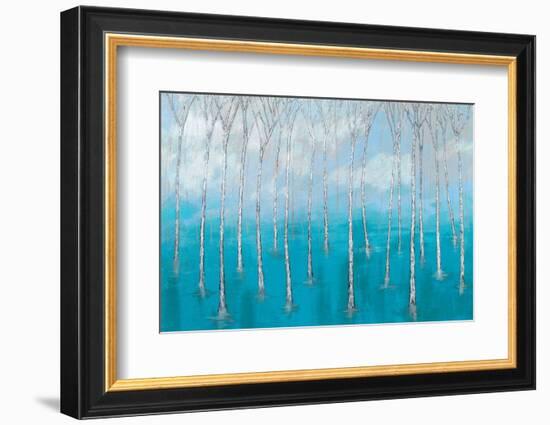 Magic Marshes-Herb Dickinson-Framed Photographic Print