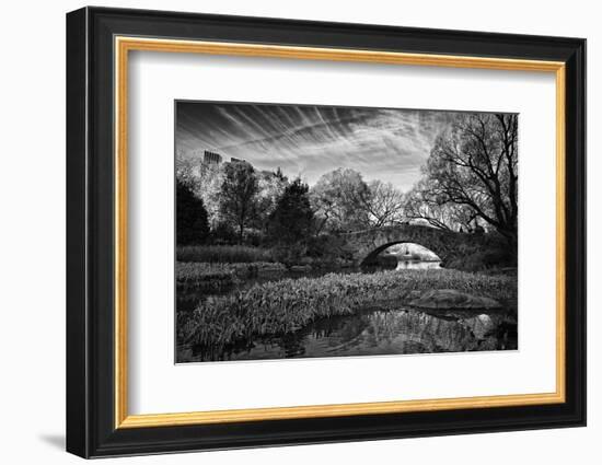 Magic Of Central Park-Roland Photography-Framed Photographic Print