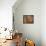 Magic Pears Art Blenda Studio-Blenda Tyvoll-Framed Stretched Canvas displayed on a wall