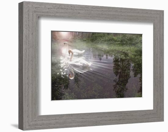 Magic Swan-Steve Hunziker-Framed Art Print