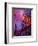 Magic Trees-Pol Ledent-Framed Art Print