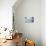 Magic Whiteness-Philippe Sainte-Laudy-Premium Photographic Print displayed on a wall
