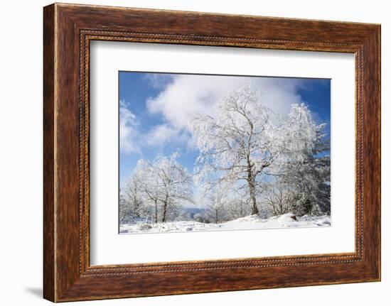 Magic Whiteness-Philippe Sainte-Laudy-Framed Photographic Print