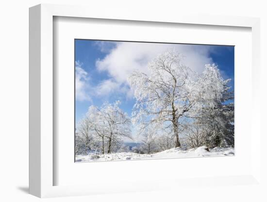 Magic Whiteness-Philippe Sainte-Laudy-Framed Photographic Print