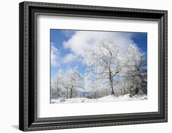 Magic Whiteness-Philippe Sainte-Laudy-Framed Photographic Print