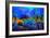 Magic Wood-Pol Ledent-Framed Art Print