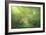 Magical Afternoon-Kirk Reinert-Framed Giclee Print