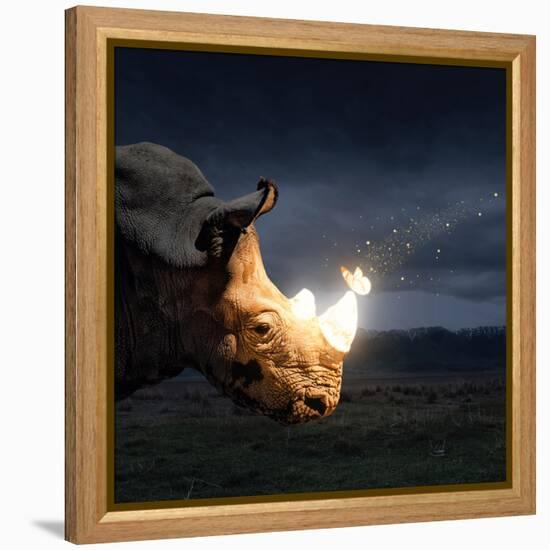 Magical butterfly sitting on the rhino-Marina Pissarova-Framed Stretched Canvas