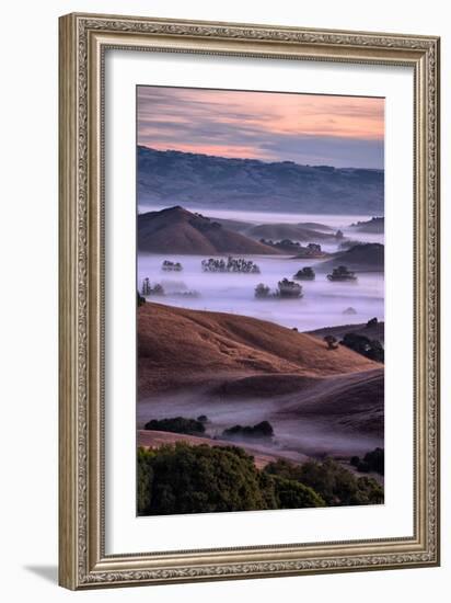 Magical Country Hills and Fog, Petaluma, Sonoma, Bay Area-Vincent James-Framed Photographic Print