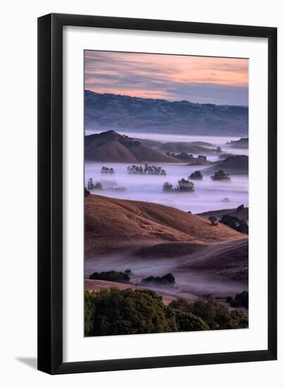 Magical Country Hills and Fog, Petaluma, Sonoma, Bay Area-Vincent James-Framed Photographic Print