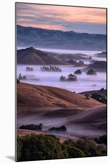 Magical Country Hills and Fog, Petaluma, Sonoma, Bay Area-Vincent James-Mounted Photographic Print