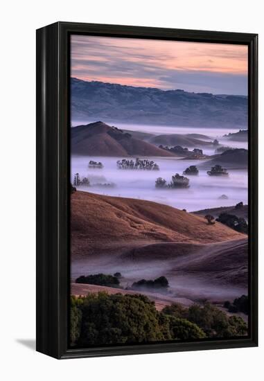 Magical Country Hills and Fog, Petaluma, Sonoma, Bay Area-Vincent James-Framed Premier Image Canvas