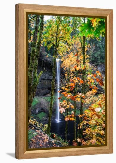 Magical Fall Scene at South Falls, Silver Falls State Park, Oregon-Vincent James-Framed Premier Image Canvas