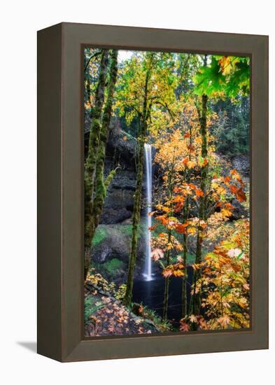 Magical Fall Scene at South Falls, Silver Falls State Park, Oregon-Vincent James-Framed Premier Image Canvas