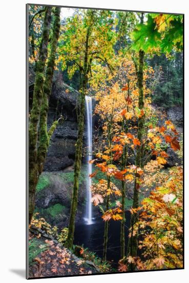 Magical Fall Scene at South Falls, Silver Falls State Park, Oregon-Vincent James-Mounted Photographic Print