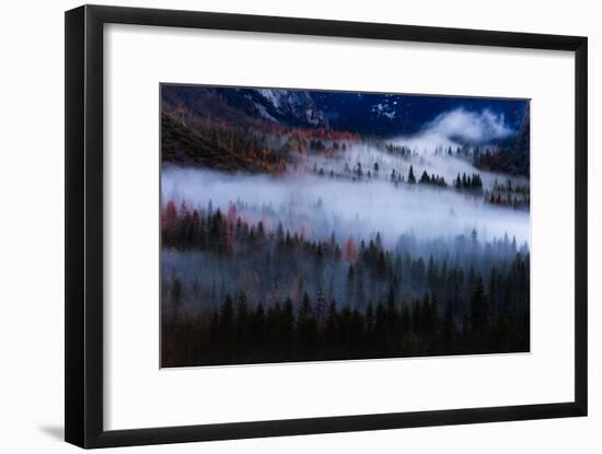 Magical Flow Mesmer Fog & Light Trees Sark Yosemite Winter Storm Valley-Vincent James-Framed Photographic Print