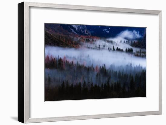 Magical Flow Mesmer Fog & Light Trees Sark Yosemite Winter Storm Valley-Vincent James-Framed Photographic Print