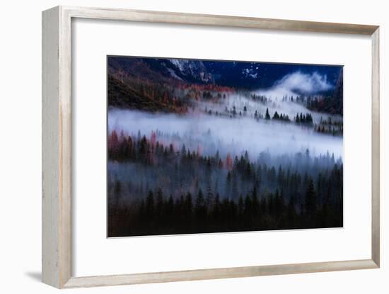 Magical Flow Mesmer Fog & Light Trees Sark Yosemite Winter Storm Valley-Vincent James-Framed Photographic Print