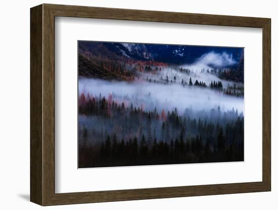 Magical Flow Mesmer Fog & Light Trees Sark Yosemite Winter Storm Valley-Vincent James-Framed Photographic Print