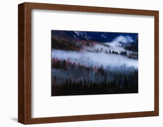Magical Flow Mesmer Fog & Light Trees Sark Yosemite Winter Storm Valley-Vincent James-Framed Photographic Print