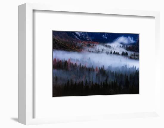 Magical Flow Mesmer Fog & Light Trees Sark Yosemite Winter Storm Valley-Vincent James-Framed Photographic Print