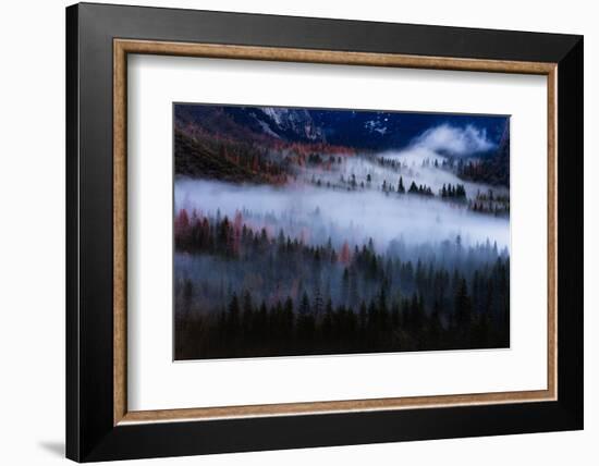 Magical Flow Mesmer Fog & Light Trees Sark Yosemite Winter Storm Valley-Vincent James-Framed Photographic Print