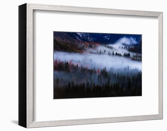 Magical Flow Mesmer Fog & Light Trees Sark Yosemite Winter Storm Valley-Vincent James-Framed Photographic Print