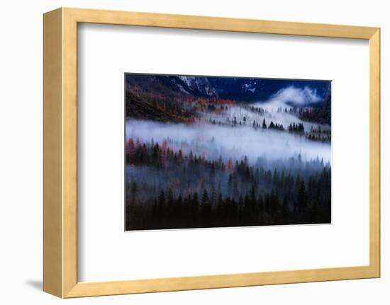 Magical Flow Mesmer Fog & Light Trees Sark Yosemite Winter Storm Valley-Vincent James-Framed Photographic Print