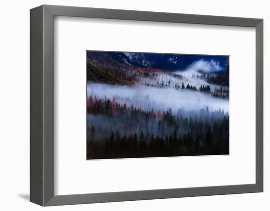 Magical Flow Mesmer Fog & Light Trees Sark Yosemite Winter Storm Valley-Vincent James-Framed Photographic Print