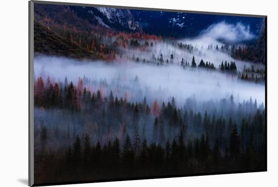 Magical Flow Mesmer Fog & Light Trees Sark Yosemite Winter Storm Valley-Vincent James-Mounted Photographic Print