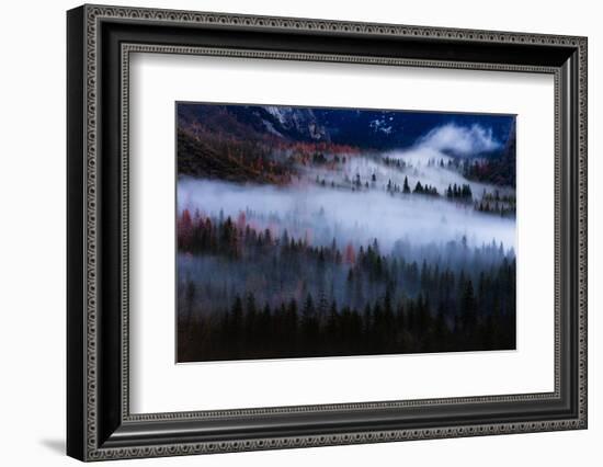 Magical Flow Mesmer Fog & Light Trees Sark Yosemite Winter Storm Valley-Vincent James-Framed Photographic Print