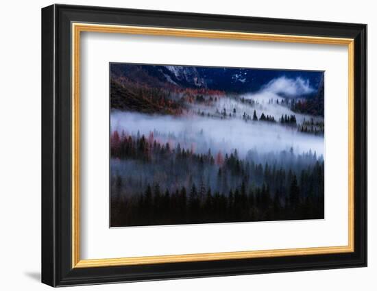 Magical Flow Mesmer Fog & Light Trees Sark Yosemite Winter Storm Valley-Vincent James-Framed Photographic Print