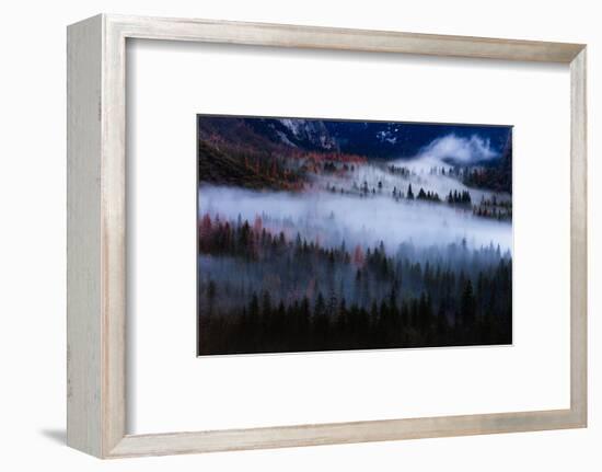 Magical Flow Mesmer Fog & Light Trees Sark Yosemite Winter Storm Valley-Vincent James-Framed Photographic Print