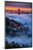 Magical Fog and Sunrise Light, Golden Gate Bridge, San Francisco-Vincent James-Mounted Photographic Print