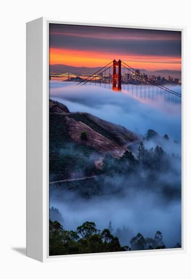 Magical Fog and Sunrise Light, Golden Gate Bridge, San Francisco-Vincent James-Framed Premier Image Canvas