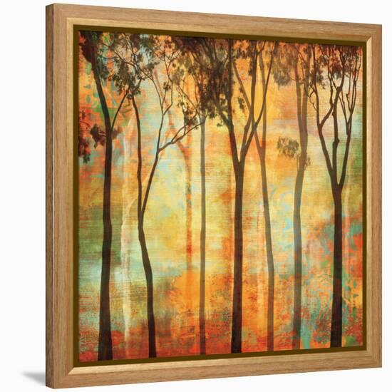 Magical Forest I-Chris Donovan-Framed Stretched Canvas