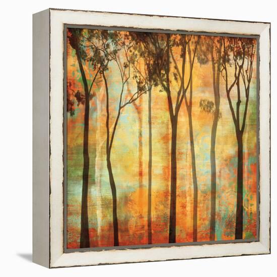 Magical Forest I-Chris Donovan-Framed Stretched Canvas