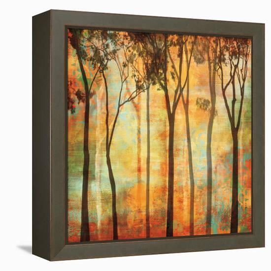 Magical Forest I-Chris Donovan-Framed Stretched Canvas