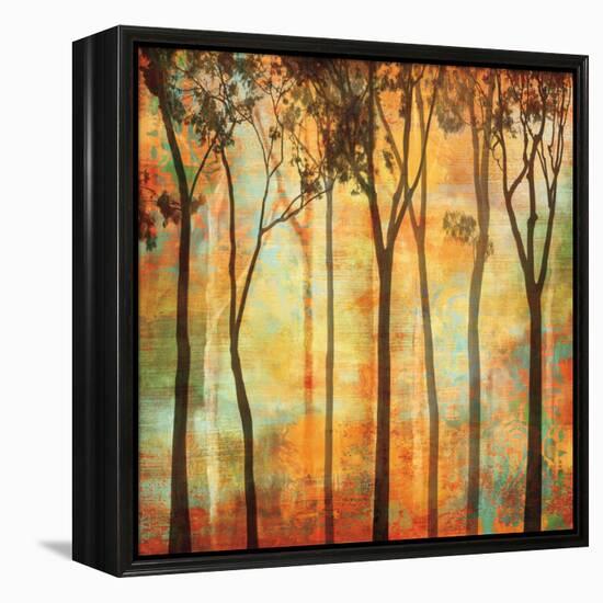 Magical Forest I-Chris Donovan-Framed Stretched Canvas