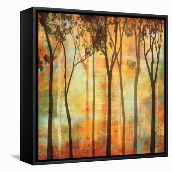 Magical Forest I-Chris Donovan-Framed Stretched Canvas