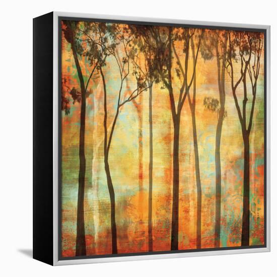 Magical Forest I-Chris Donovan-Framed Stretched Canvas