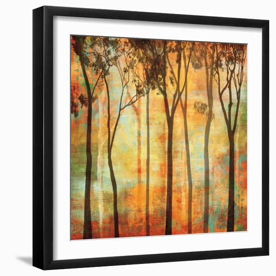 Magical Forest I-Chris Donovan-Framed Art Print