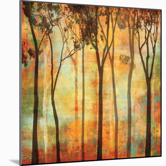 Magical Forest I-Chris Donovan-Mounted Art Print