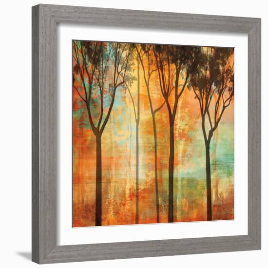 Magical Forest II-Chris Donovan-Framed Art Print