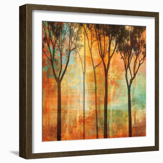 Magical Forest II-Chris Donovan-Framed Art Print