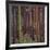 Magical Forest-Don Li-Leger-Framed Art Print