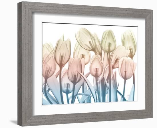 Magical Garden 2-Albert Koetsier-Framed Art Print