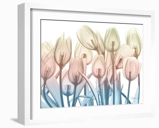 Magical Garden 2-Albert Koetsier-Framed Art Print